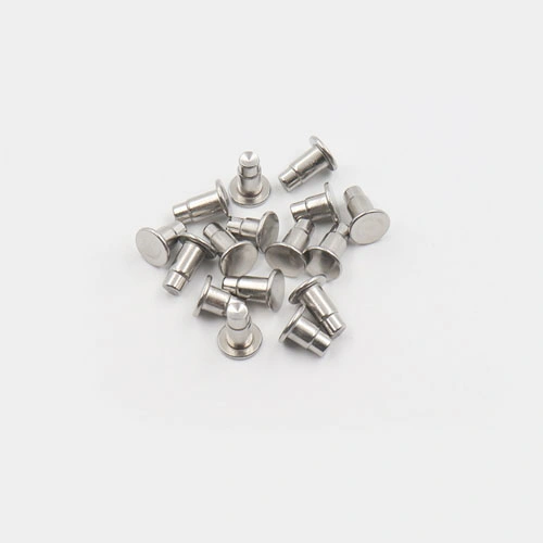 OEM Rivet High Strength Fastener Factory Price Customized Wholesale Stainless Steel Rivets